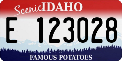 ID license plate E123028