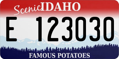 ID license plate E123030