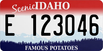 ID license plate E123046