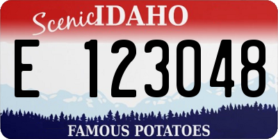 ID license plate E123048