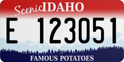 ID license plate E123051