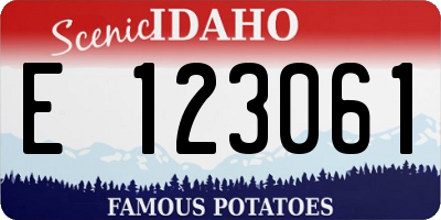 ID license plate E123061
