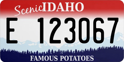 ID license plate E123067