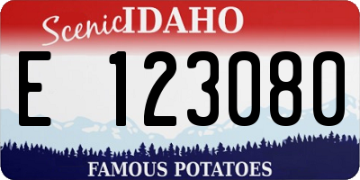 ID license plate E123080