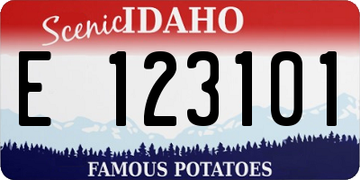 ID license plate E123101