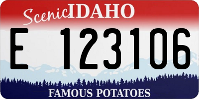 ID license plate E123106