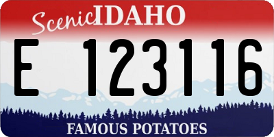 ID license plate E123116