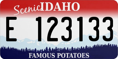 ID license plate E123133