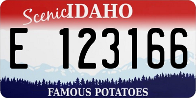 ID license plate E123166