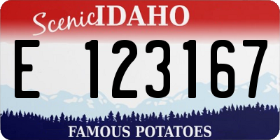 ID license plate E123167