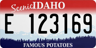 ID license plate E123169