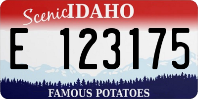 ID license plate E123175