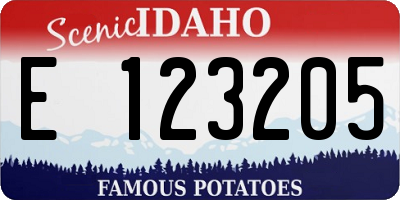 ID license plate E123205