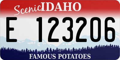 ID license plate E123206