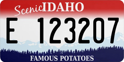 ID license plate E123207