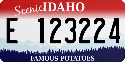 ID license plate E123224