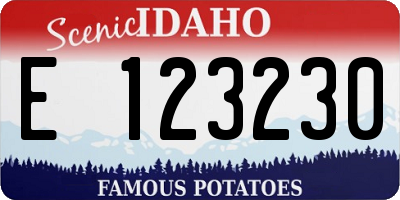 ID license plate E123230