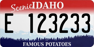 ID license plate E123233