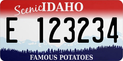 ID license plate E123234