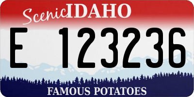 ID license plate E123236