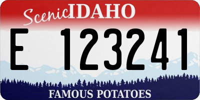 ID license plate E123241