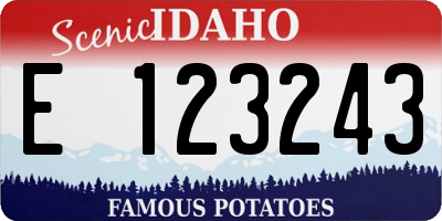 ID license plate E123243