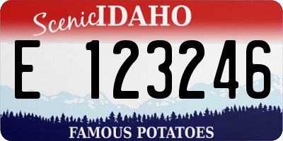 ID license plate E123246