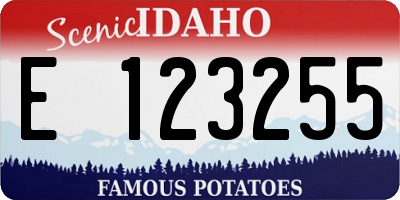 ID license plate E123255
