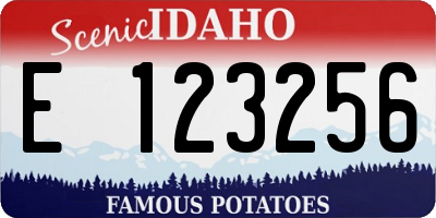 ID license plate E123256