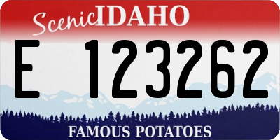 ID license plate E123262