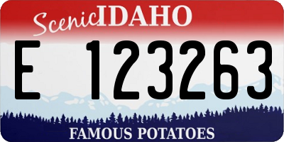 ID license plate E123263