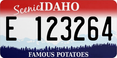 ID license plate E123264