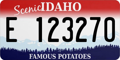 ID license plate E123270