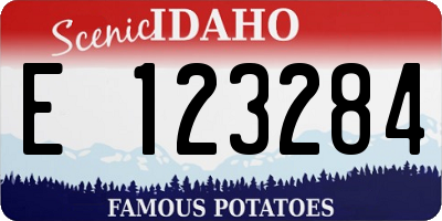 ID license plate E123284