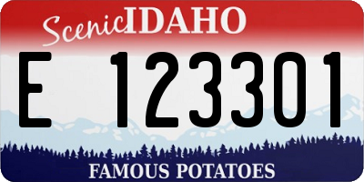 ID license plate E123301