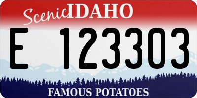 ID license plate E123303