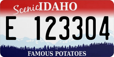 ID license plate E123304
