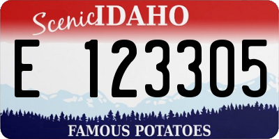 ID license plate E123305