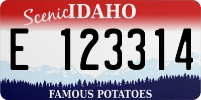 ID license plate E123314