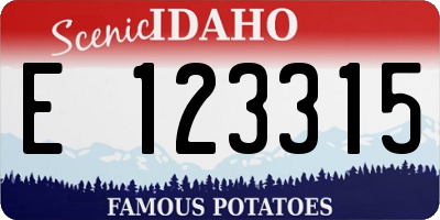 ID license plate E123315