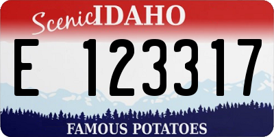 ID license plate E123317