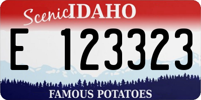 ID license plate E123323
