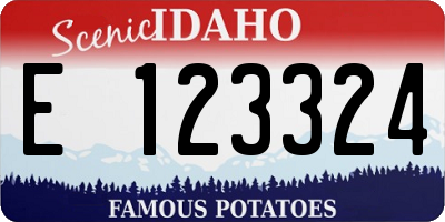 ID license plate E123324