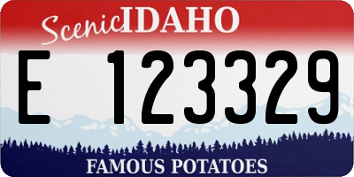 ID license plate E123329