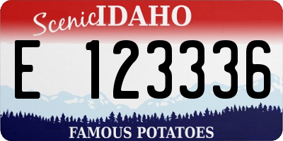 ID license plate E123336