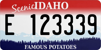 ID license plate E123339