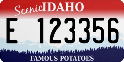ID license plate E123356