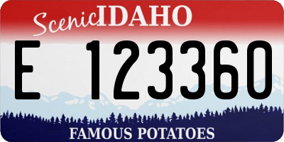 ID license plate E123360