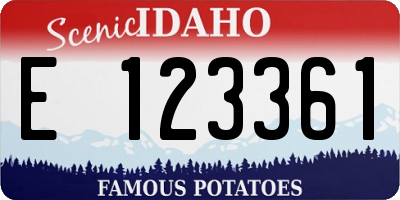 ID license plate E123361