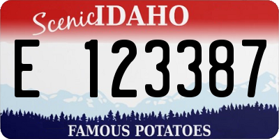 ID license plate E123387